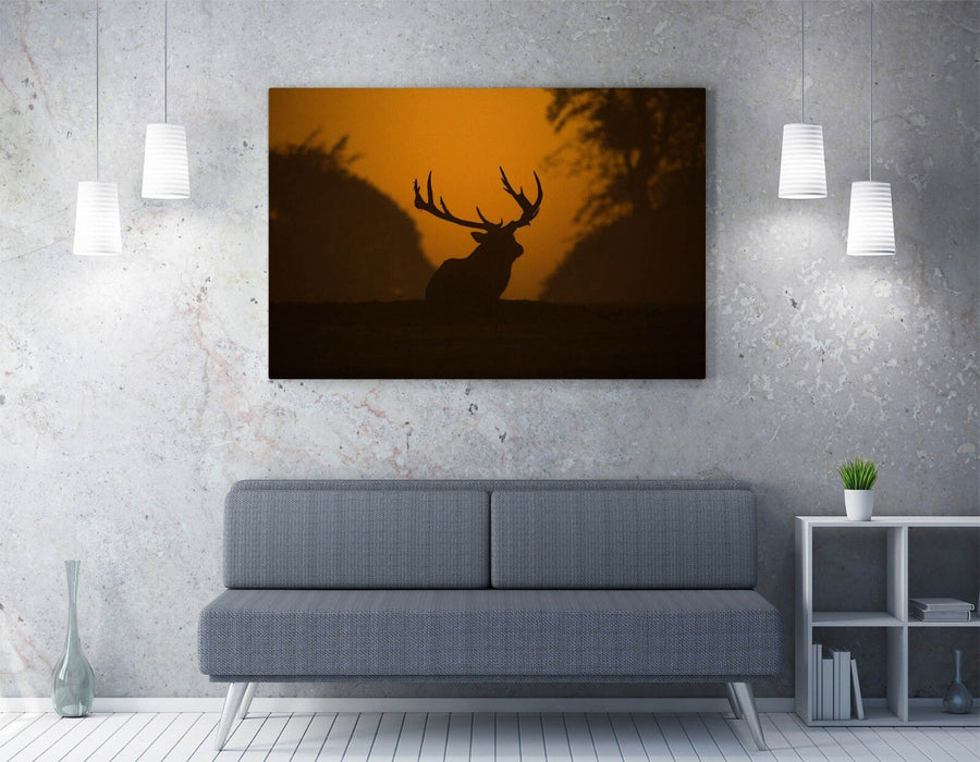 Canvas Wall Art - Stag Sunset Silhouette | Framed Animal Wall Decor Print