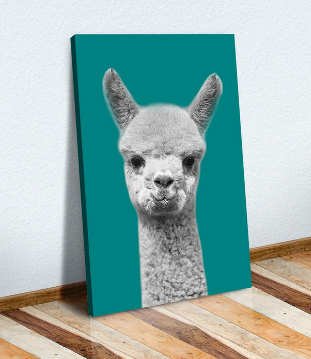 Alpaca Canvas Art – Handmade Black White Teal Canvas Wall Art Print
