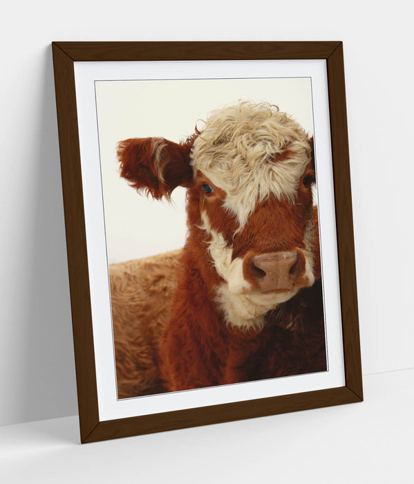 Framed Wall Art - Brown White Cow Poster With Rustic Wood Frame, Matte Paper Print