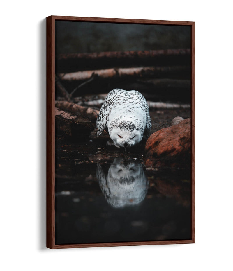 Snowy Owl Canvas Art - Float Effect Canvas Wall Art With Premium Varnish Finish