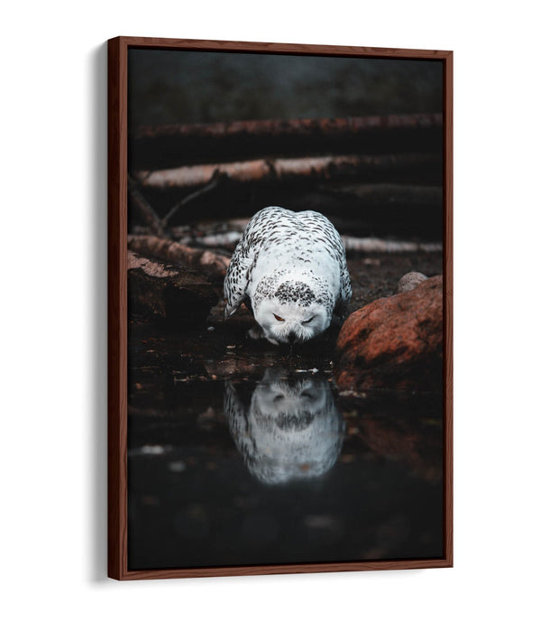 Snowy Owl Canvas Art - Float Effect Canvas Wall Art With Premium Varnish Finish