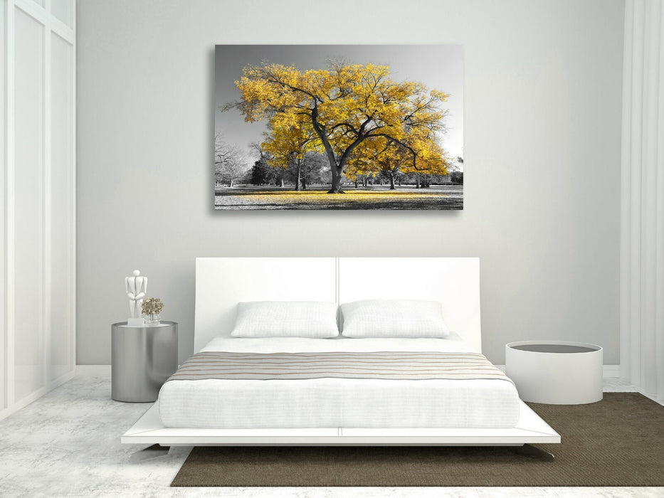 Canvas Wall Art Large Tree Yellow Leaf Print - Black White Decor, 30mm Deep Frame