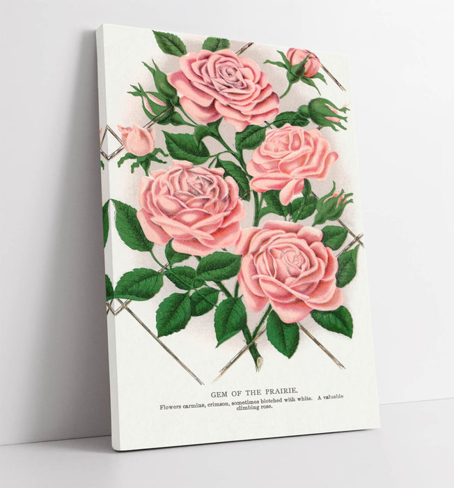 Canvas Wall Art - Pink Rose Prairie Flower Art | Handmade Floral Print Ready to Hang