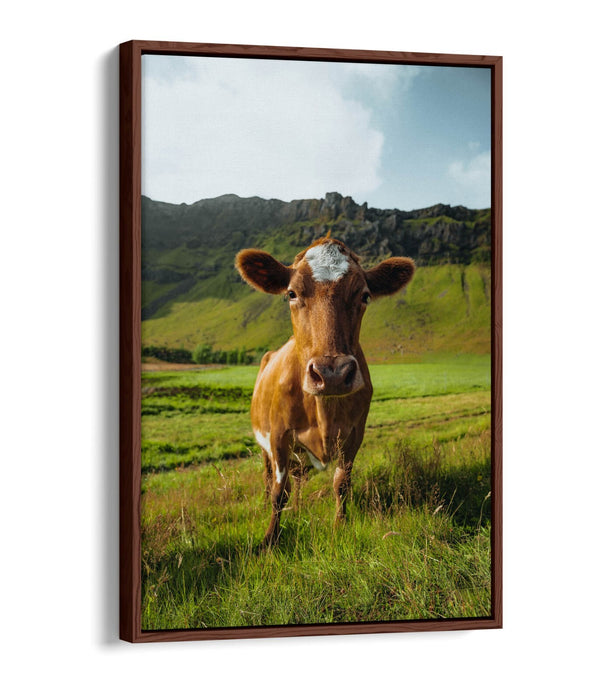 Canvas Wall Art – Brown Cow In Green Field | Handmade Float Effect Frame