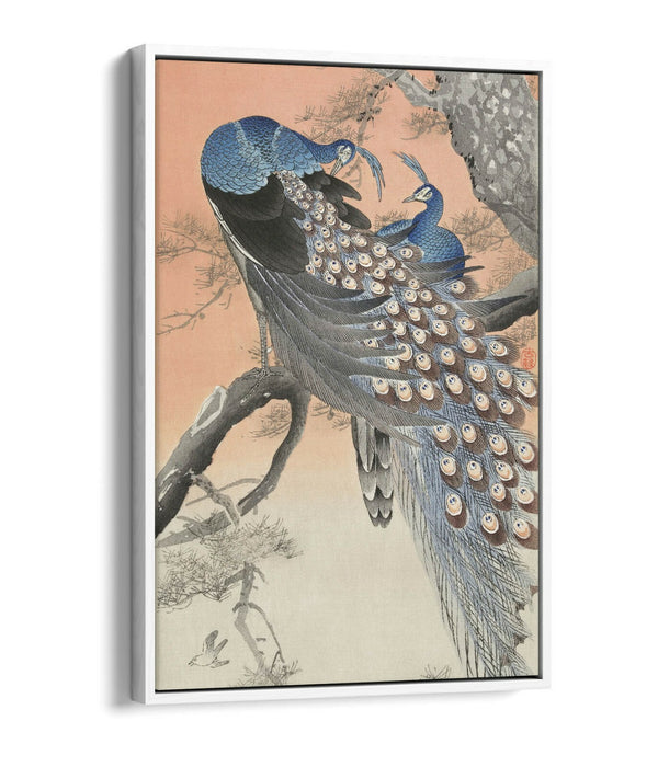 OHARA KOSON, TWO PEACOCKS ON TREE BRANCH -FLOAT EFFECT CANVAS WALL ART PIC PRINT