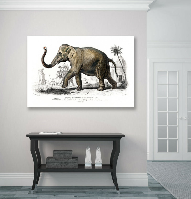Elephant Canvas Wall Art - Framed Animal Print On Archival Grade Canvas