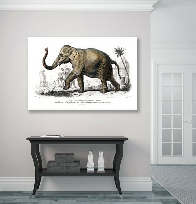 ELEPHANT CANVAS WALL ART PICTURE PRINT ARTWORK ANIMAL DEEP FRAMED