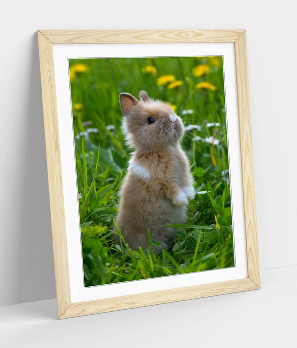 Bunny Wall Art – Framed Cute Rabbit Poster Print | Standing Rabbit Decor
