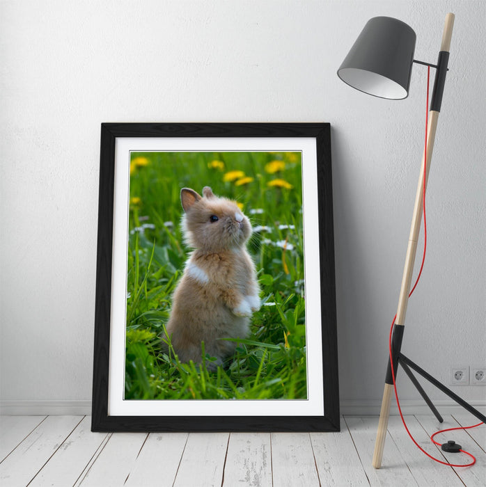 Bunny Wall Art – Framed Cute Rabbit Poster Print | Standing Rabbit Decor