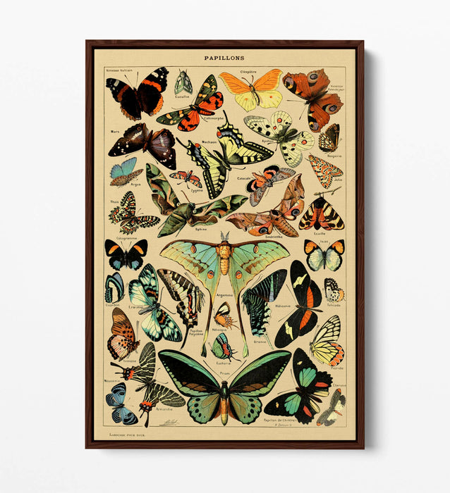 VINTAGE BUTTERFLIES ART POSTER RETRO -FLOAT EFFECT CANVAS WALL ART PRINT