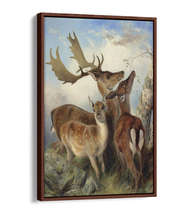 Float Effect Canvas Art - Fallow Deer Wall Art with Custom MDF Frame