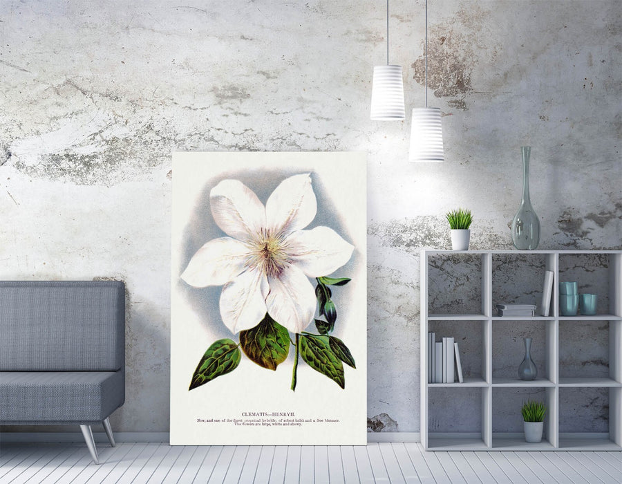Clematis Flower Canvas - Handmade Floral Canvas Wall Art Picture Print