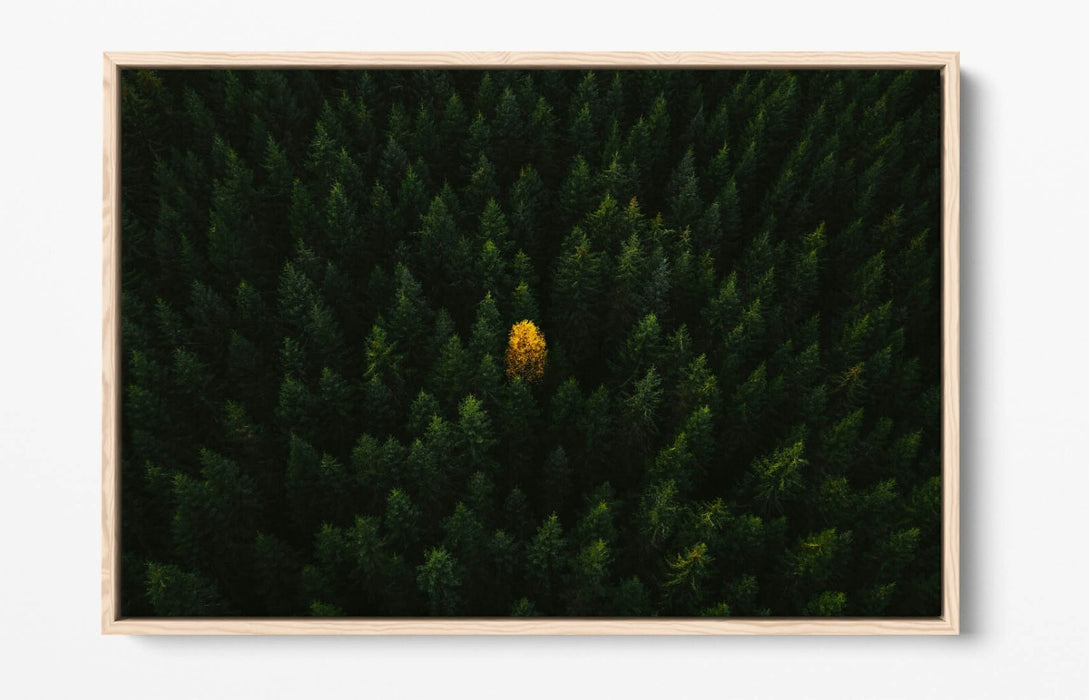 YELLOW TREE IN FOREST HOME BEDROOM DECOR FLOAT EFFECT CANVAS WALL PRINT
