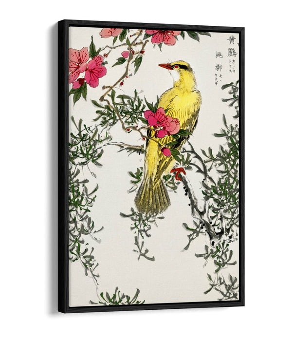 Canvas Wall Art | Handmade Float Effect Canvas Print with Premium Frame - Bird Design