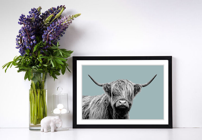 HIGHLAND COW BLACK AND WHITE DUCK EGG BLUE FRAMED POSTER WALL ART PRINT