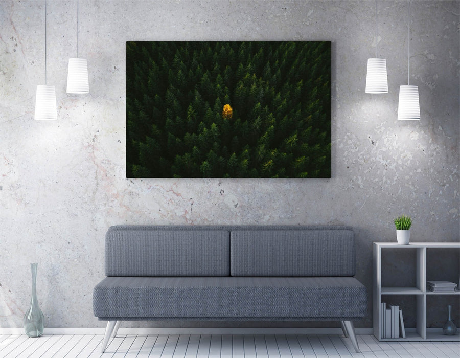 YELLOW TREE IN FOREST HOME BEDROOM DECOR CANVAS WALL PICTURE PRINT