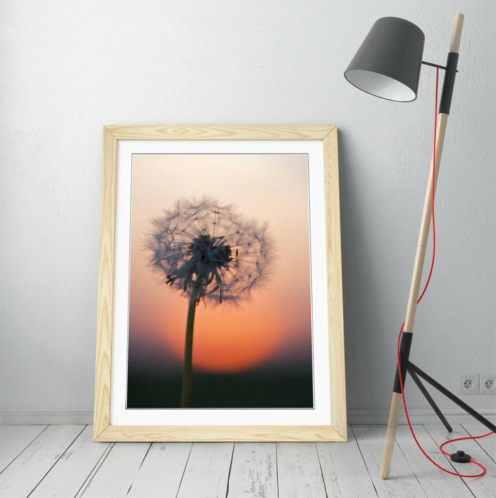 DANDELION PORTRAIT -ART FRAMED POSTER PICTURE PRINT ARTWORK- GREY BLACK
