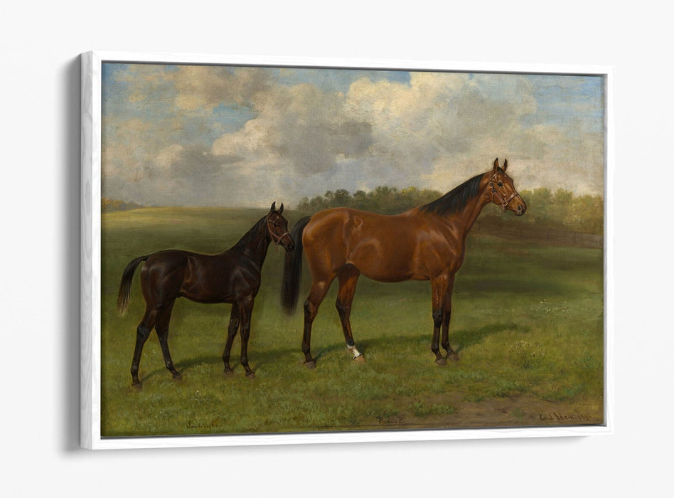 EMIL ADAM, PERDITA II WITH HER FOAL -FLOAT EFFECT CANVAS WALL ART PRINT