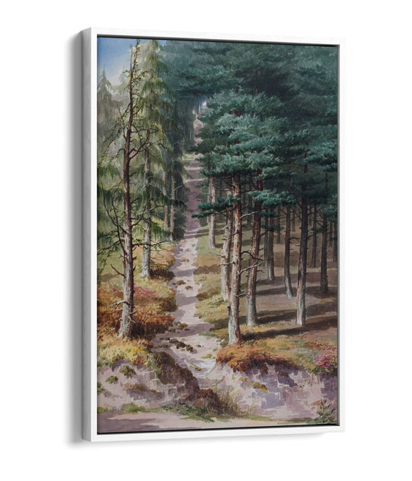 Float Effect Canvas Art - Elijah Walton Rednal Wood | Premium 30mm Deep Frame