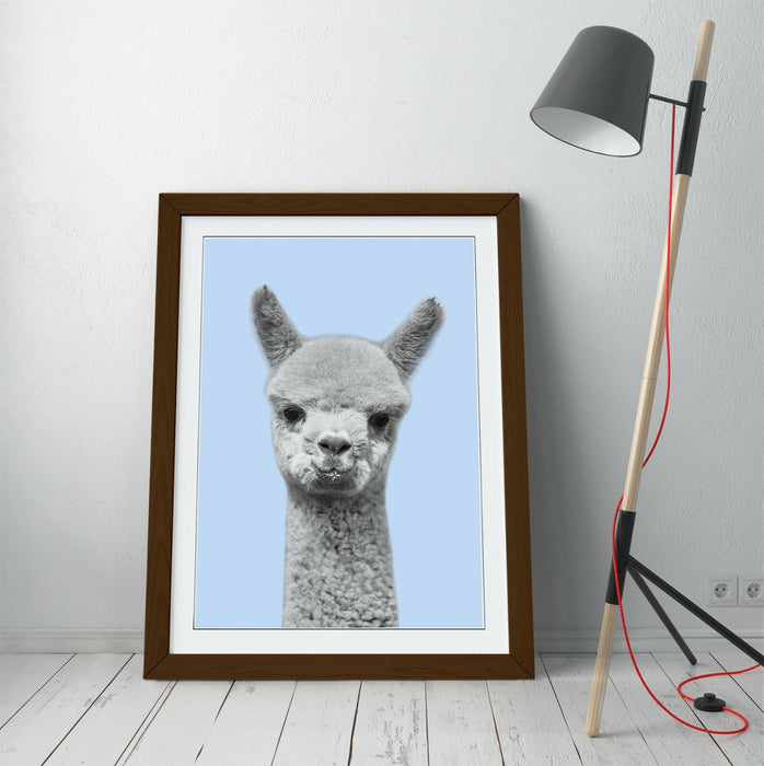 ALPACA BLACK WHITE BABY BLUE -FRAMED ART POSTER PICTURE PRINT ARTWORK