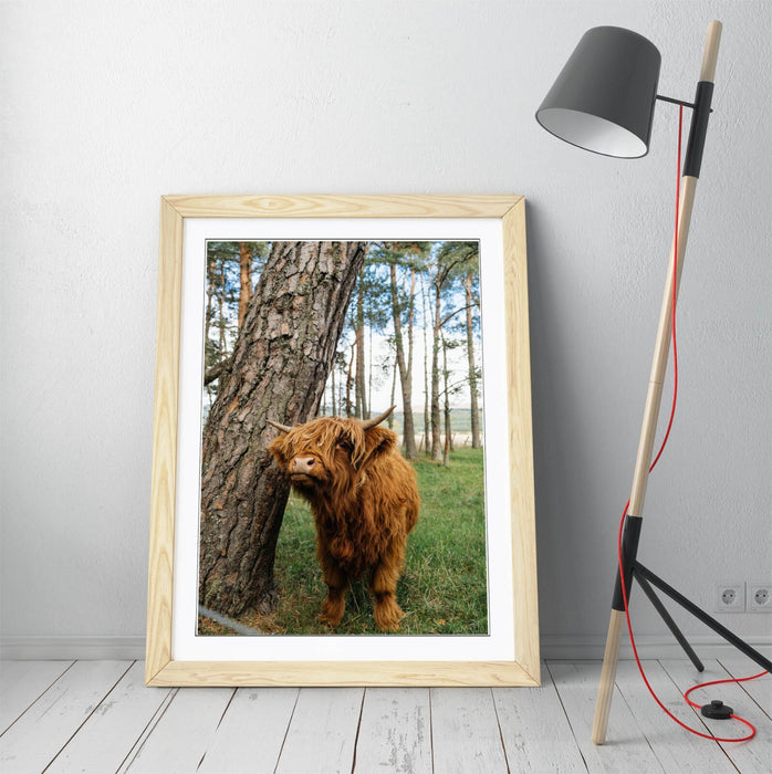 Highland Cow Wall Art – Framed Rustic Farmhouse Decor Poster Print UK Handmade