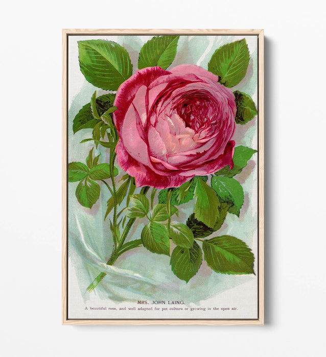 Canvas Wall Art – Pink Rose Print With Float Effect Canvas Frame – Handmade