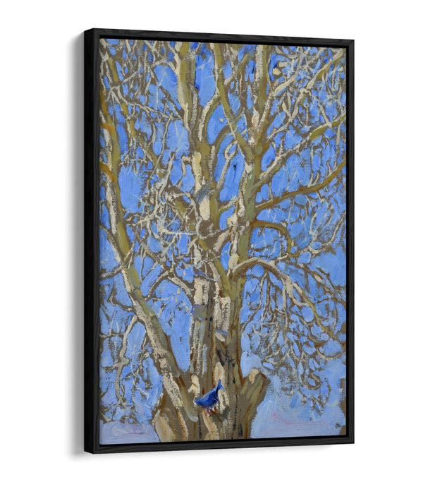 Float Effect Canvas Art - Handmade Bird Canvas Print With Premium 30mm Deep Frame