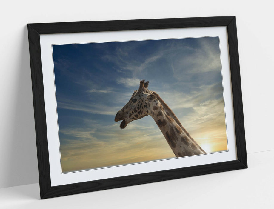 GIRAFFE IN THE CLOUDS -ART FRAMED POSTER PICTURE PRINT ARTWORK- ANIMAL PHOTO