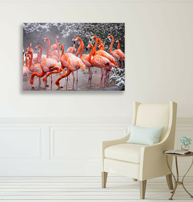 FLAMINGOS  CANVAS WALL ART PICTURE ARTWORK FRAMED PRINT DEEP FRAMED