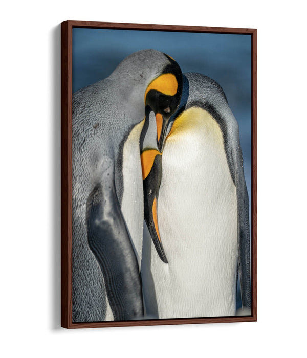 Penguin Couple Canvas - Cute Animal Artwork | Float Effect Canvas Wall Art Print