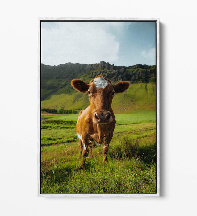 Canvas Wall Art – Brown Cow In Green Field | Handmade Float Effect Frame