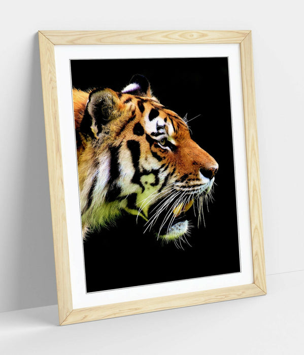 TIGER HEAD -FRAMED ART POSTER PICTURE PRINT ARTWORK- BLACK