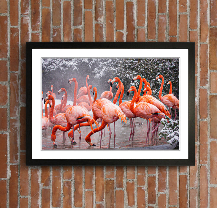Flamingos Wall Art - Animal Framed Print With Natural Wood Frame, Ready To Hang