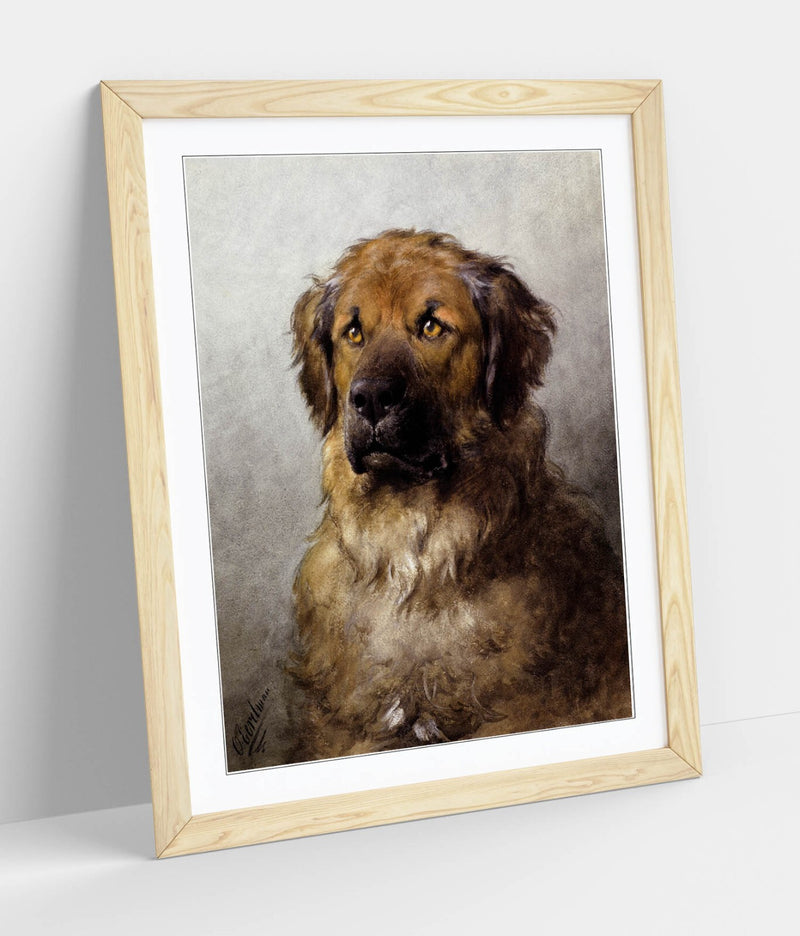 Framed Wall Art - Otto Ereleman, Head Of A Leonberger | Handmade UK Art Poster Print