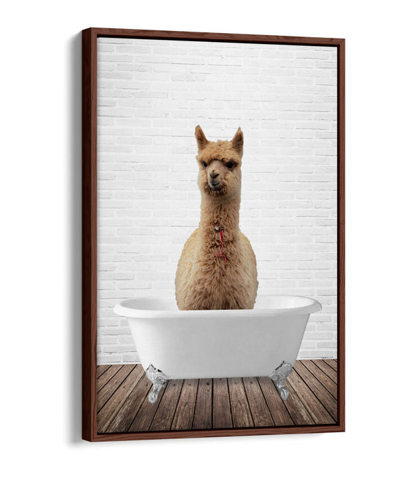 LLAMA IN BATHTUB -QUIRKY BATHROOM FLOAT EFFECT CANVAS WALL ART PIC PRINT