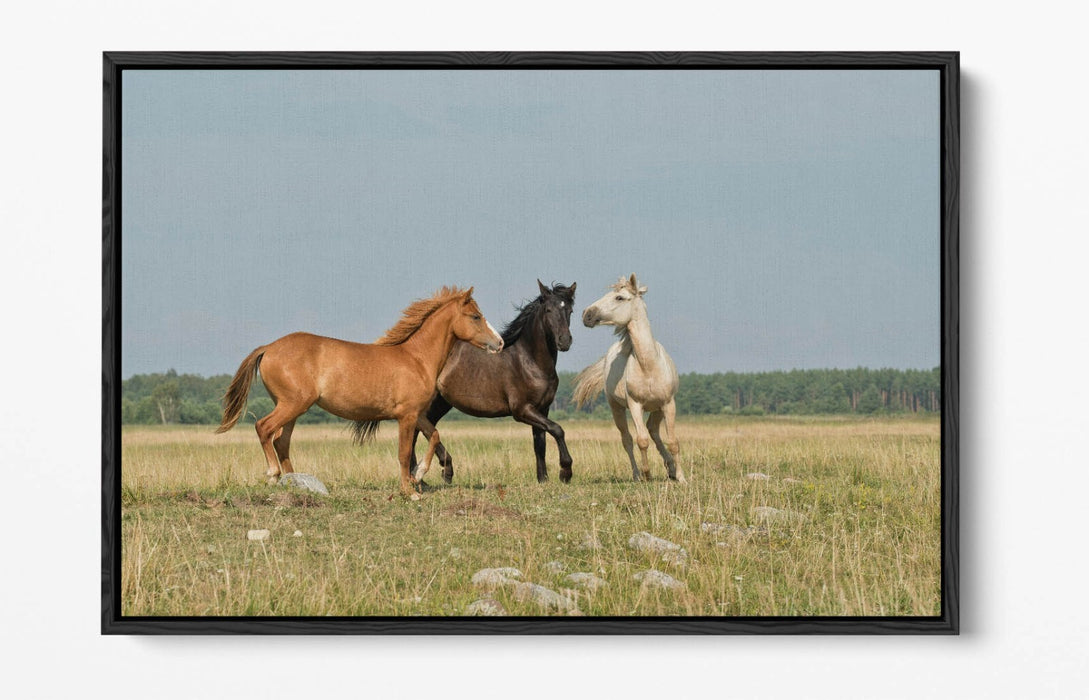 HORSES GALLOPING IN FIELD LANDSCAPE HOME DECO FLOAT EFFECT CANVAS WALL ART PRINT
