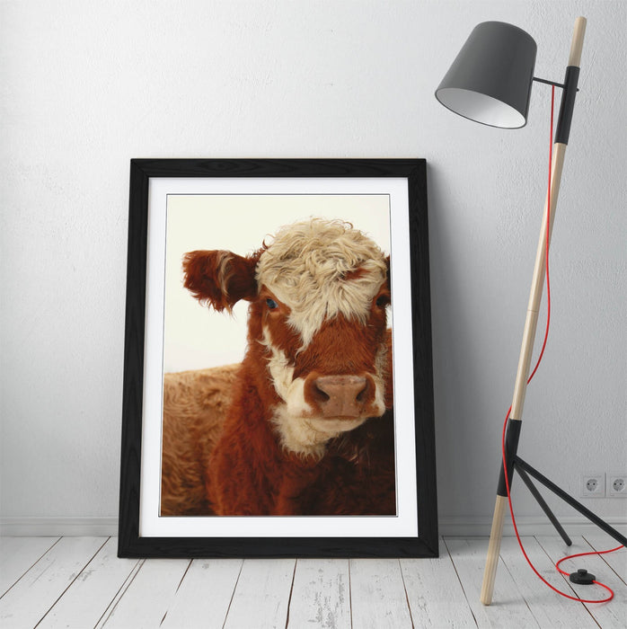 Framed Wall Art - Brown White Cow Poster With Rustic Wood Frame, Matte Paper Print
