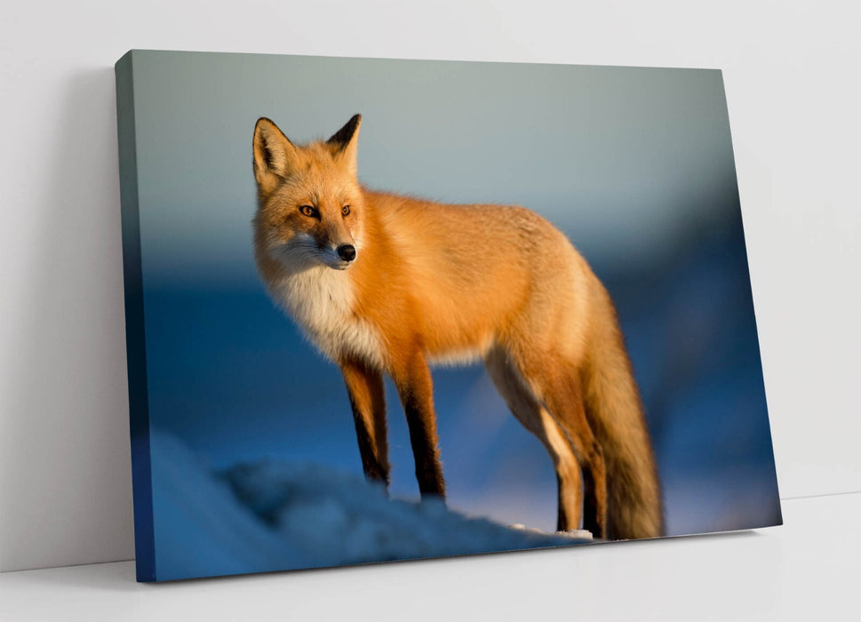 Fox Canvas Wall Art – Handmade Winter Landscape Art With Vibrant Colors