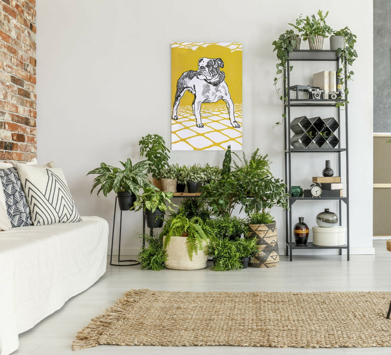 Vintage Bulldog Canvas | Deep Framed Artwork With Mustard Wall Art Print