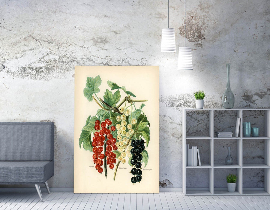 Canvas Wall Art - Vintage Black Naples Print | Handmade Premium Canvas Artwork