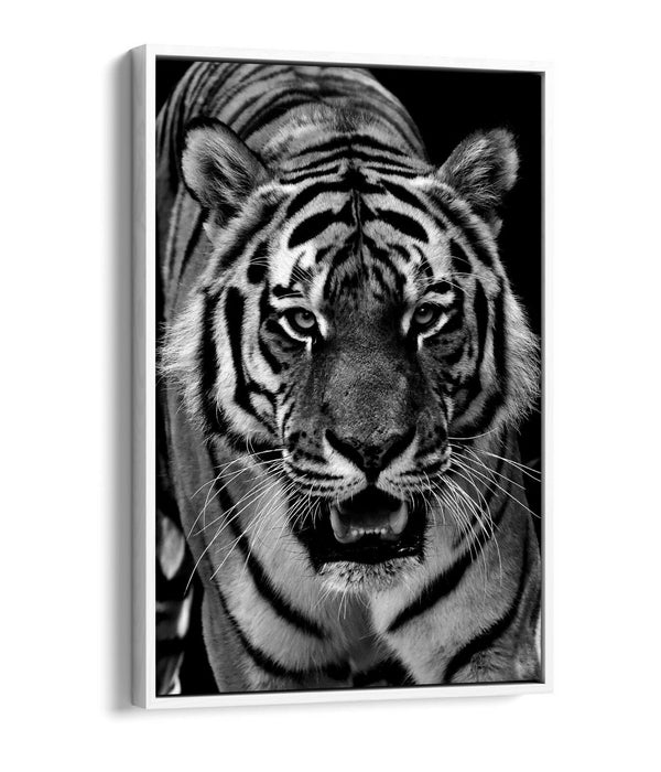 TIGER BLACK AND WHITE -FLOAT EFFECT CANVAS WALL ART PIC PRINT-
