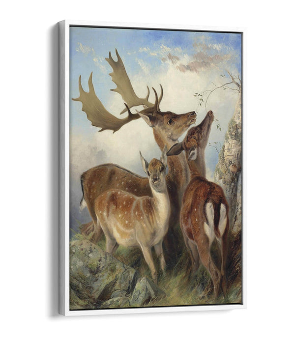Float Effect Canvas Art - Fallow Deer Wall Art with Custom MDF Frame