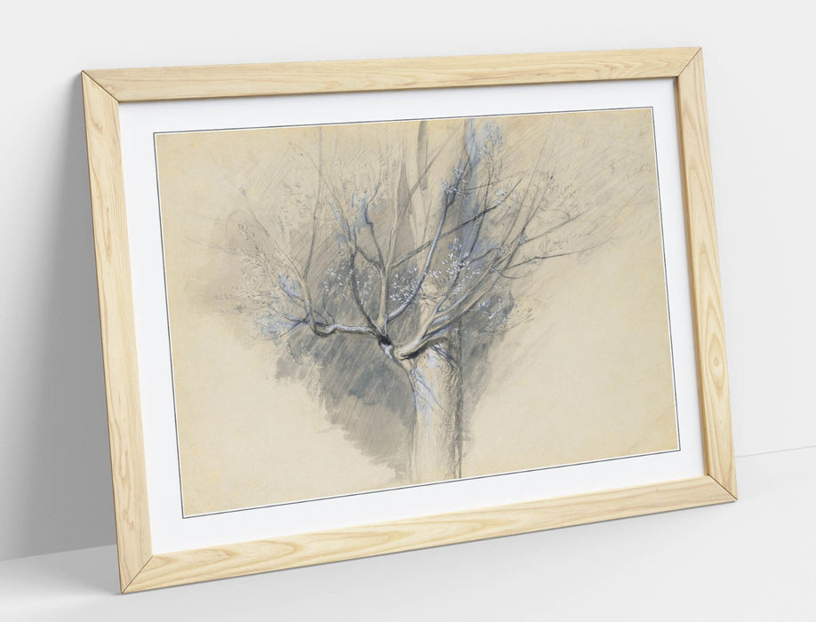 Framed Wall Art - John Ruskin Budding Sycamore Art With Woodgrain Frame