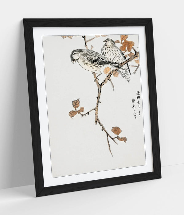 Framed Wall Art - Numata Kashu Siskin & Euonymus Alata Botanical Print Poster