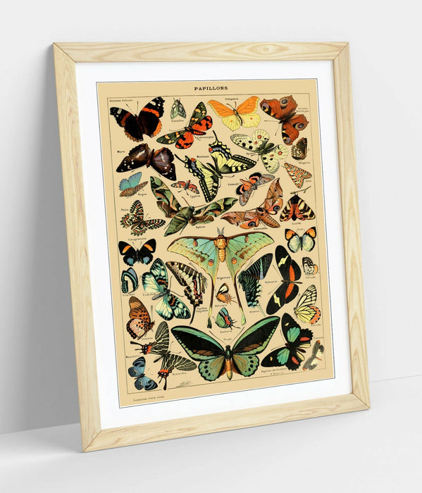 VINTAGE BUTTERFLIES ART POSTER RETRO -FRAMED WALL ART PICTURE PRINT