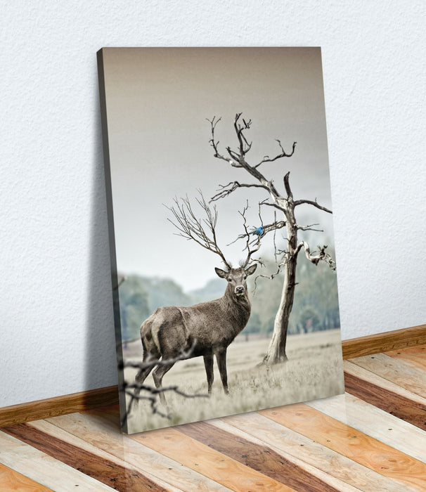 Canvas Wall Art – Deer Stag Tree Horn Print with Blue Bird Abstract Artwork