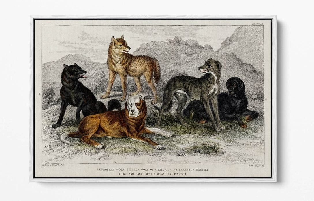 Canvas Wall Art Print | Premium Canvas Frame, Vibrant Wall Decor Dog Design