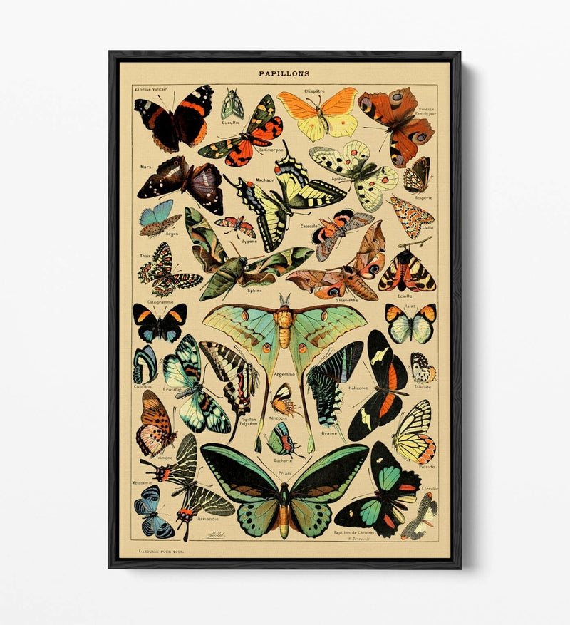 Vintage Butterflies Poster – Retro Art Print On Canvas Wall Art With Float Frame