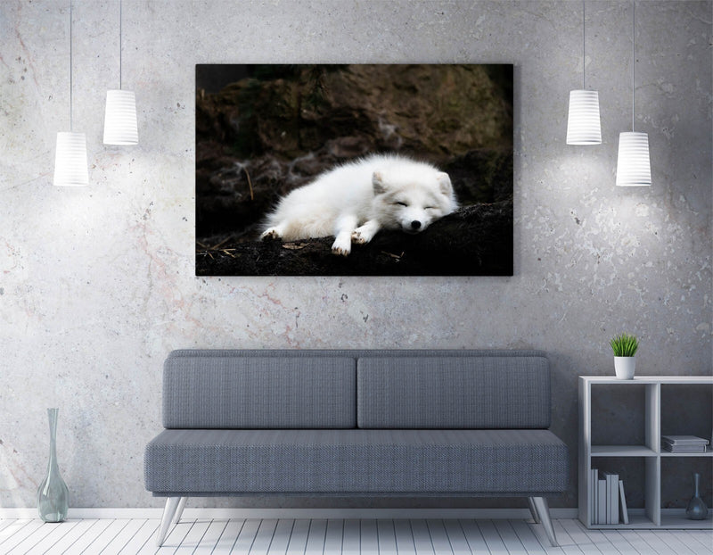 White Wolf Canvas Art – Handmade Wildlife Canvas Print | Ready To Hang Wall Decor