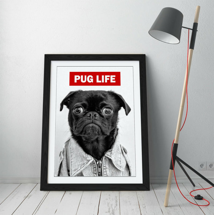 PUG LIFE -FRAMED POSTER WALL ART PRINT ARTWORK- BLACK & WHITE